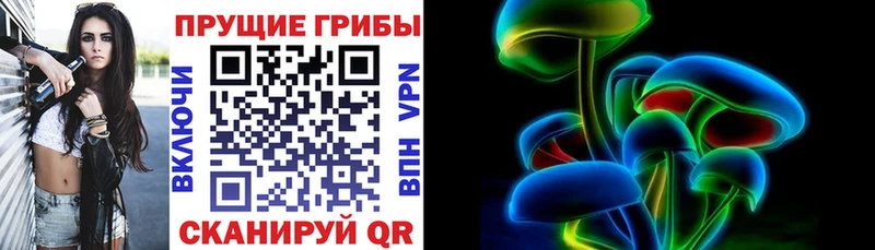 Галлюциногенные грибы MAGIC MUSHROOMS  Брянск 