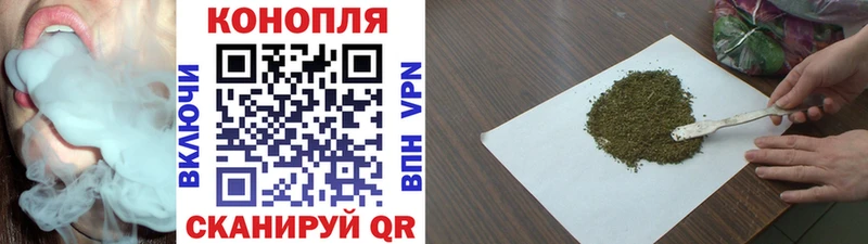 где купить наркоту  Брянск  Бошки марихуана SATIVA & INDICA 
